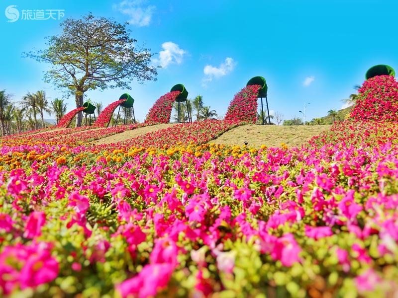 倒花美景